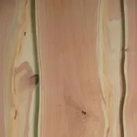 00000021963