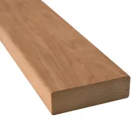 00000010927
