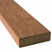 00000019691